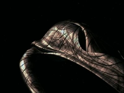 Okay, Rygel. Take me through
this one more time. - Farscape
