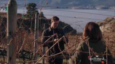Okay - Valentine in the Vineyard