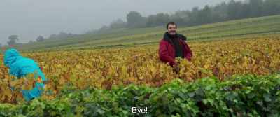 Okay' - Back to Burgundy