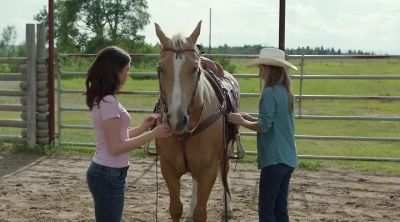 Okay... - Heartland