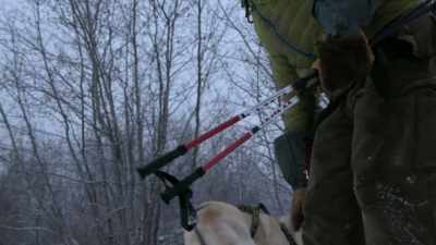 Okay, Sipsey.
Come on. Yeah. - Life Below Zero: Next Generation