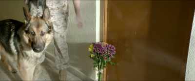 Okay, slow down,
slow down, slow down, - Megan Leavey