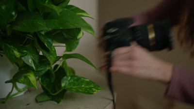 Okay, so, I'm gonna set it
on a time lapse. - My Landlord Wants Me Dead