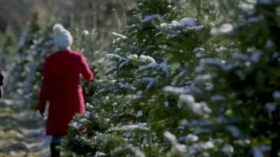Okay,
so the key to a good Christmas - Flipping for Christmas