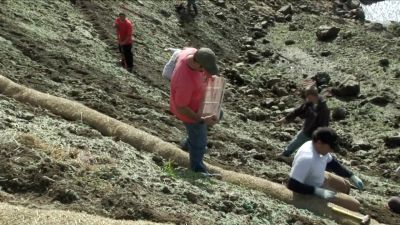 OKAY, SO, TROY'S
GOT THE STAKES. - Dirty Jobs