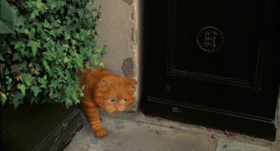 Okay sore bottom a little disoriented but undeterred - Garfield: A Tail of Two Kitties