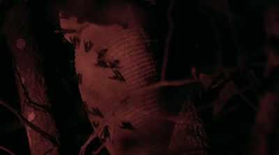 Okay, that's enough.
Don't--don't-- - Kings of Pain