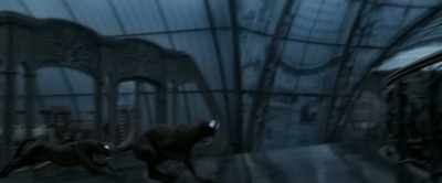 - Okay? They can't lie.
- Theseus. - Fantastic Beasts: The Crimes of Grindelwald