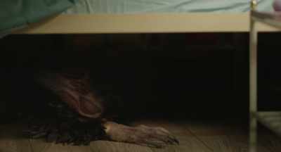 - Okay.
- They induce currents - Hatching