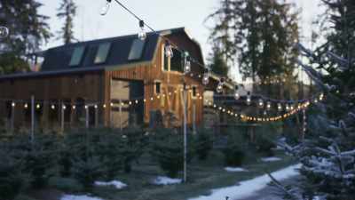 Okay, so two days
till Christmas Eve, - The Picture of Christmas
