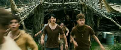 Okay, wait. - The Maze Runner