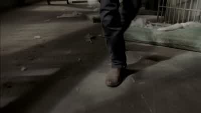 Okay. We need someone else. - The Walking Dead