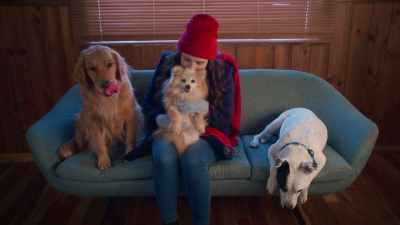 Okay, well, great!
Uh, do you need leashes? - The Dog Days of Christmas