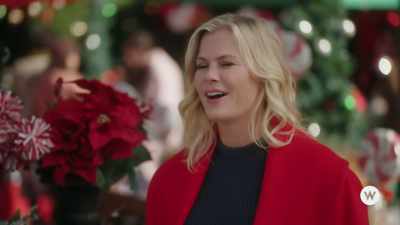 Okay, well, um,
I am supposed to- - A Magical Christmas Village