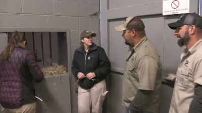 Okay, well, we'll keep
a close eye on her, - Secrets of the Zoo