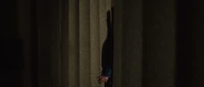 Okay, so what are we going to do? - Percy Jackson &amp; the Olympians: The Lightning Thief