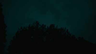 Okay. What is her name? - Murdaugh Murders: A Southern Scandal