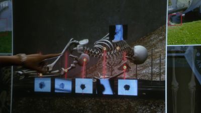 Okay, what's that? - Bones