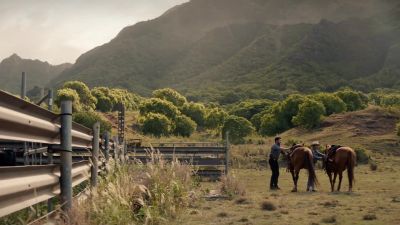 Okay, whoa, whoa. - NCIS: Hawai'i