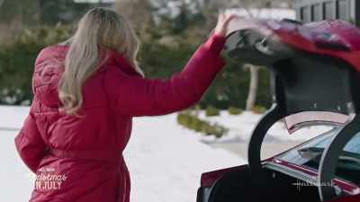 Okay won't get you
through 40-mile winds - Falling Like Snowflakes