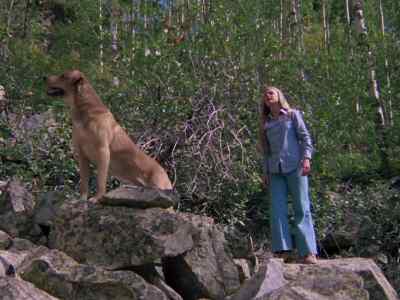 Okay... you're going to be alright. - Mountain Family Robinson