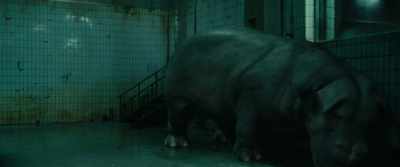 Okja! Are you okay? - Okja