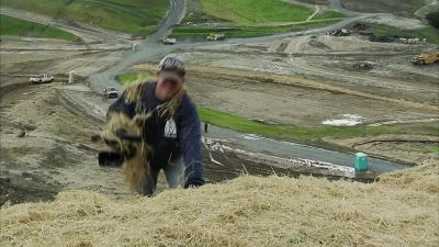 OLD BARBINI. - Dirty Jobs
