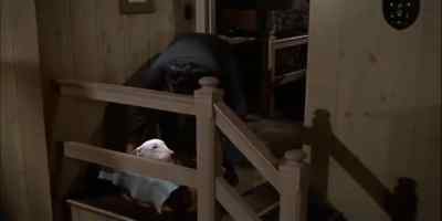 OLD BODGER HAD HIS OWN BASKET,
HIS OWN BLANKET, - The Incredible Journey