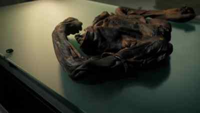Old Croghan Man,
once king... - Ancient Bodies: Secrets Revealed