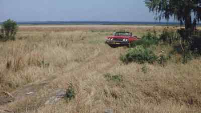 ? Old Joe Clark ran through my yard
He scared my little pups - Two Thousand Maniacs!