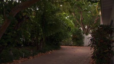Old-timer, come on.
Let's go! We're clear. - Burn Notice