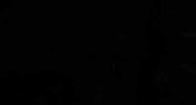 OLLIE:
About a half-hour of daylight left. - The Mist