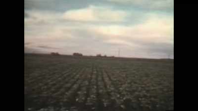 OMAR: The brothers'
only connection to North America - The Lebanese Burger Mafia