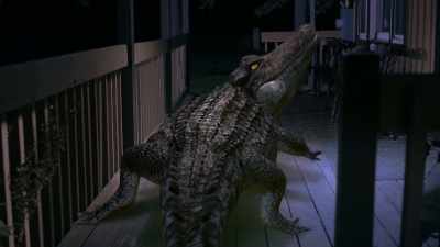 [ominous music]
[alligator growls] - Bad CGI Gator