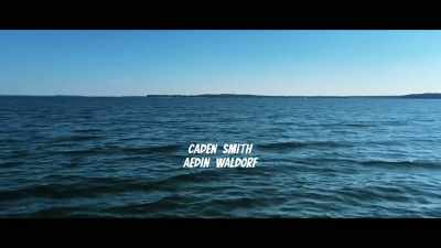 (ominous music continues) - Bull Shark 3