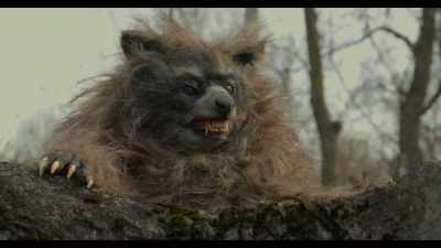 -[ominous music]
-[growls] - Crackcoon