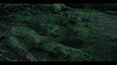 [ominous music playing] - Earth Abides