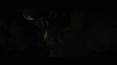 (ominous music) - Desert Shadows