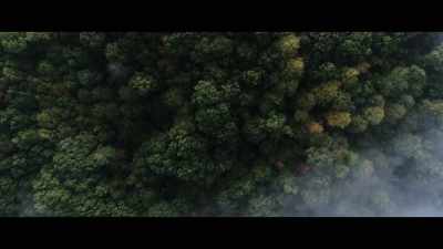 [ominous music] - John Carpenter's Suburban Screams