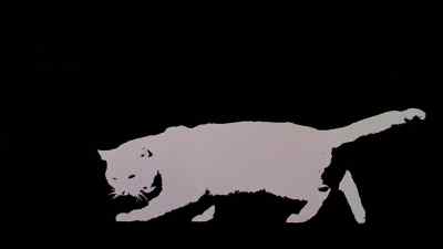 (ominous music) - Eye of the Cat