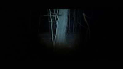 [ominous music] - Forest of Death