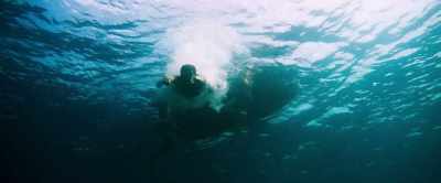 [ominous music] - Shark Bait