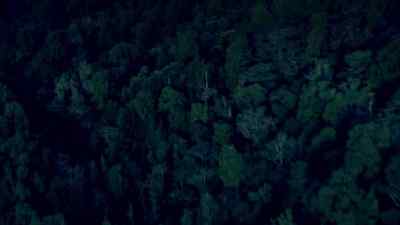 ( ominous theme playing ) - Legend of the Seeker