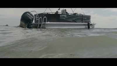 (ominous tones) - Bull Shark 3