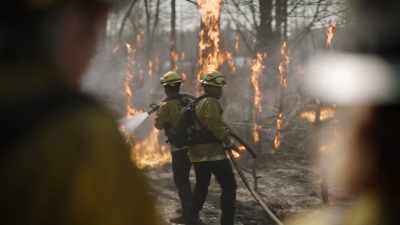 On a brighter note,
if this wind doesn't kick up, - Fire Country