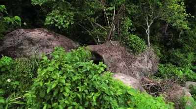 ‐ On a remote mountain
in the Philippines, - Lost Gold of World War II