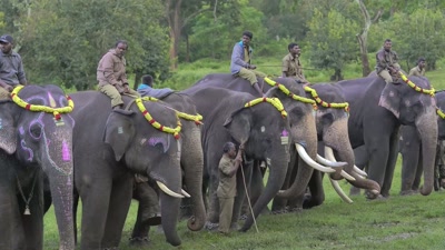 On a special ceremony day, - The Elephant Whisperers