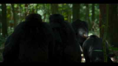 On a stealth mission, - Chimp Empire