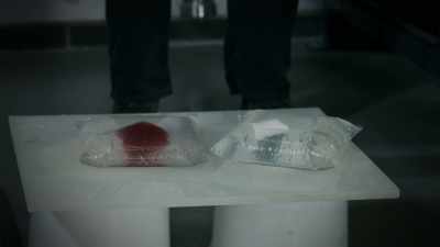 ON A TRUE JELLY, YOU'LL
SEE THIS BELL THAT HAS A NICE, - Strange Evidence