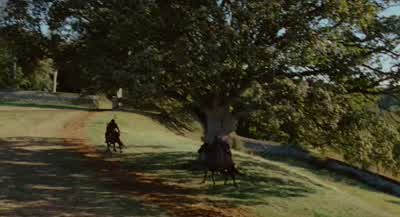 On abrite des hors-la-loi? - Robin Hood: Prince of Thieves